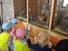 IMG20250605101354-Copy