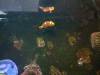 IMG20250605101808-Copy