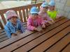 IMG20250605102454-Copy