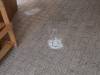 IMG-20231110-WA0040-Copy