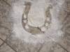 IMG-20231110-WA0041-Copy