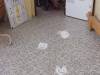 IMG-20231110-WA0043-Copy