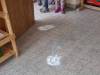 IMG-20231110-WA0047-Copy
