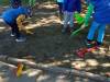 IMG20250422102641-Copy
