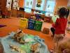IMG20250424092447-Copy