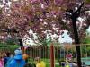 IMG20250424101142-Copy