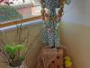 20230322_100343-Copy