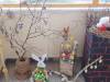 20230322_100410-Copy