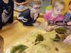 IMG-20230324-WA0001-Copy
