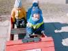IMG20250318102338-Copy