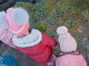 IMG20250319102235-Copy