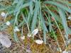 IMG20250319102302-Copy