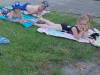 IMG-20230621-WA0076-Copy