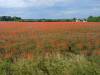 IMG-20260609-WA0012-Copy