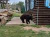 IMG-20260609-WA0036-Copy