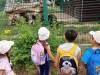IMG-20260609-WA0037-Copy
