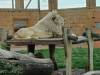 IMG-20260609-WA0045-Copy