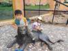 IMG-20260609-WA0051-Copy