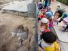 IMG-20260609-WA0066-Copy