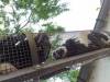IMG-20260609-WA0079-Copy