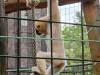 IMG-20260609-WA0083-Copy