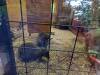 IMG-20260609-WA0085-Copy
