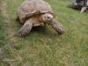 IMG-20260609-WA0090-Copy