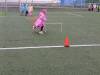 IMG_20260924_103531-Copy