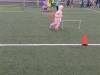 IMG_20260924_103545-Copy