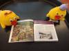 IMG20250619091901-Copy