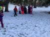 IMG_2299-Copy