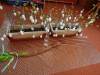 IMG20250410095011-Copy