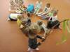 IMG20250411085126-Copy