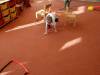 IMG20250416085140-Copy