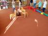 IMG20250416085215-Copy