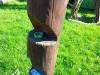 IMG20250416093112-Copy