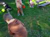 IMG20250416094404-Copy