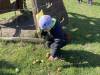 IMG_3362-Copy