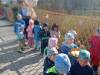 IMG20250404102328-Copy