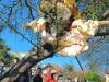 IMG20250404102939-Copy