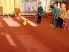 IMG20250219085900-Copy