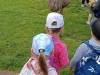 IMG20250603091912-Copy