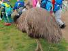 IMG20250603091944-Copy