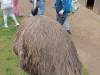 IMG20250603091948-Copy