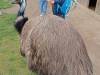 IMG20250603091951-Copy