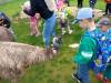 IMG20250603092120-Copy