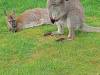 IMG20250603092216-Copy