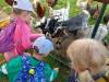 IMG20250603092606-Copy