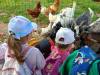 IMG20250603092611-Copy