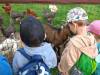 IMG20250603092625-Copy